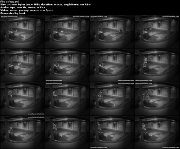 d1bed6168592154.jpg